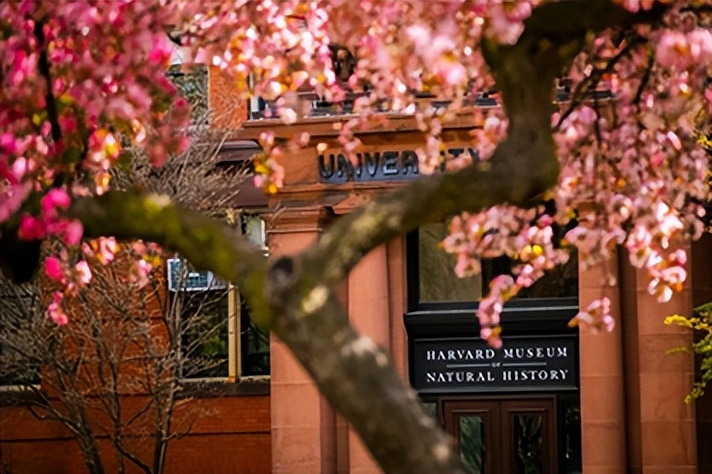 哈佛大学录取标准公布!来看看你的录取机率会有多大