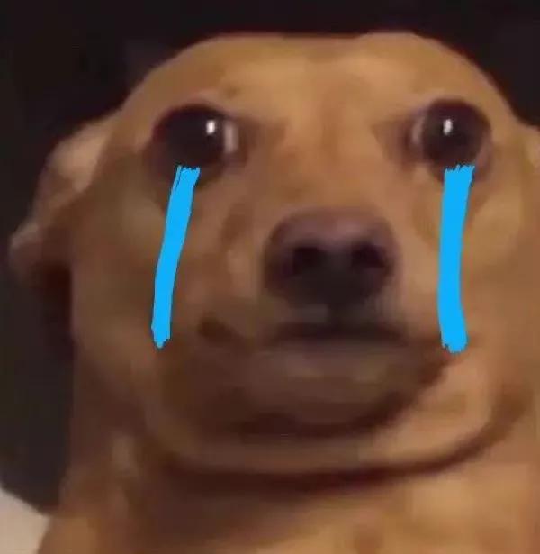 体验送外卖纪录片,体验送外卖结局