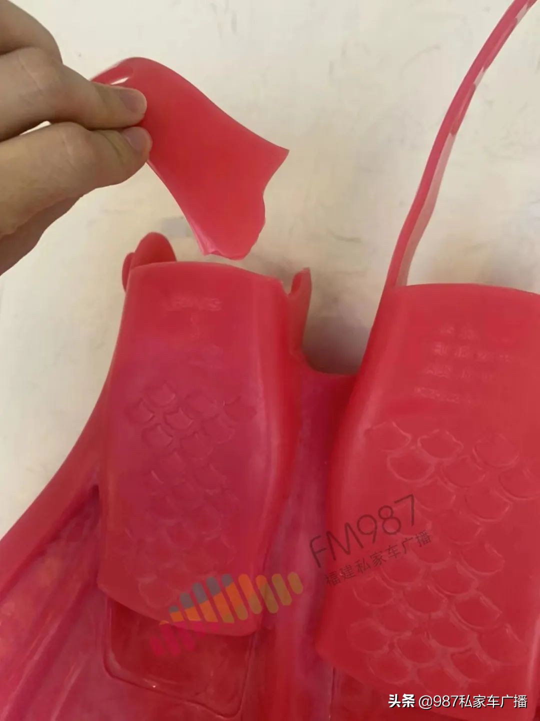 福建林女士,福建省林女士