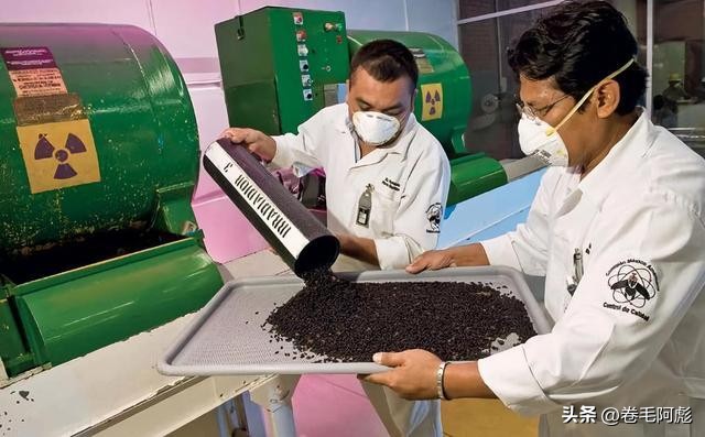 美国女子吃蜱虫被咬死,美国女子被虫子咬