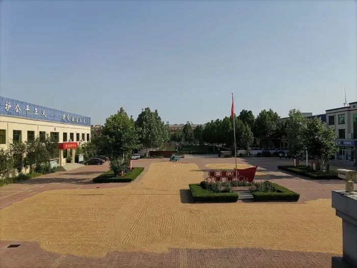 德州多地政府大院供应农民晒粮,山东一地机关大院让农民晒粮