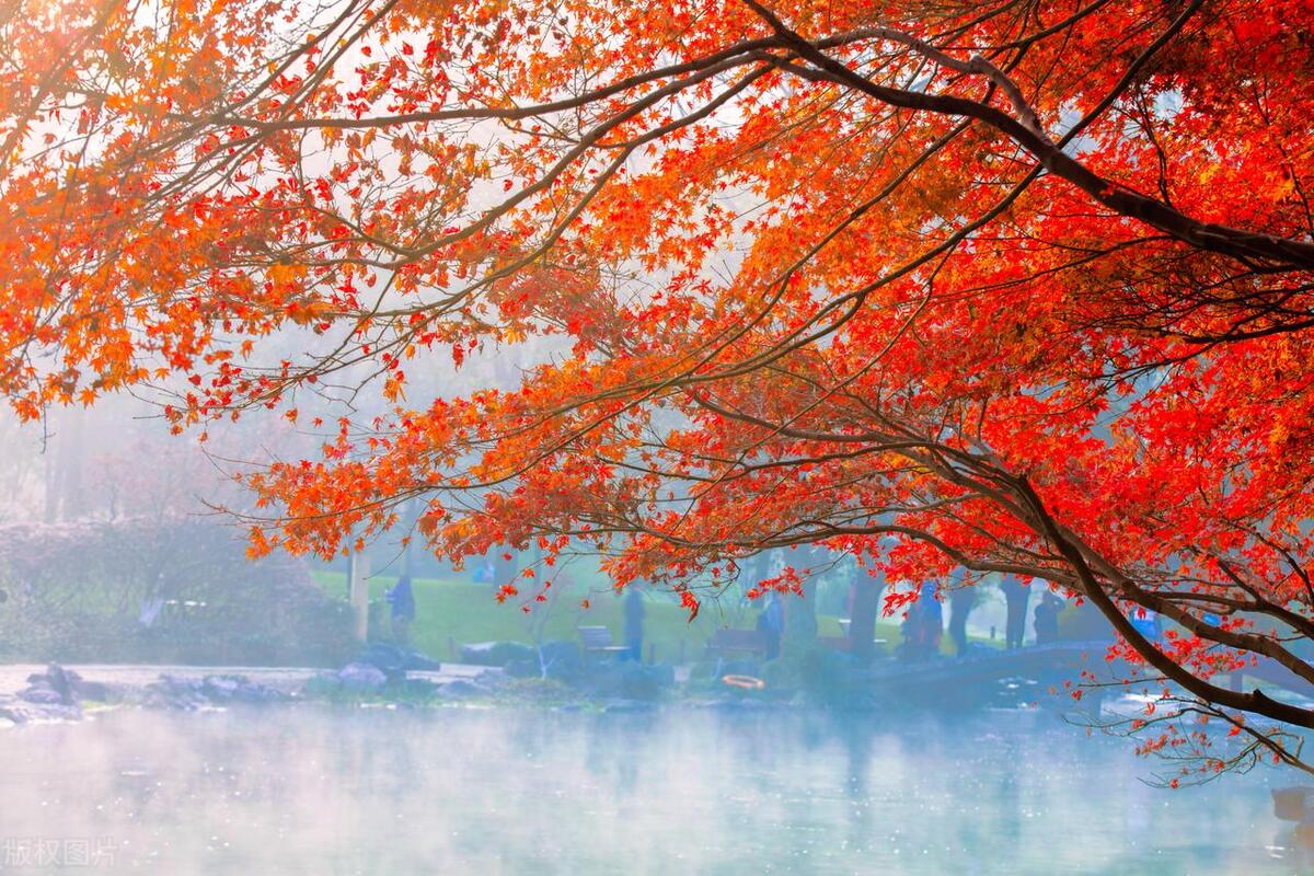 南方旅游指南攻略四天,南方四岛旅游攻略