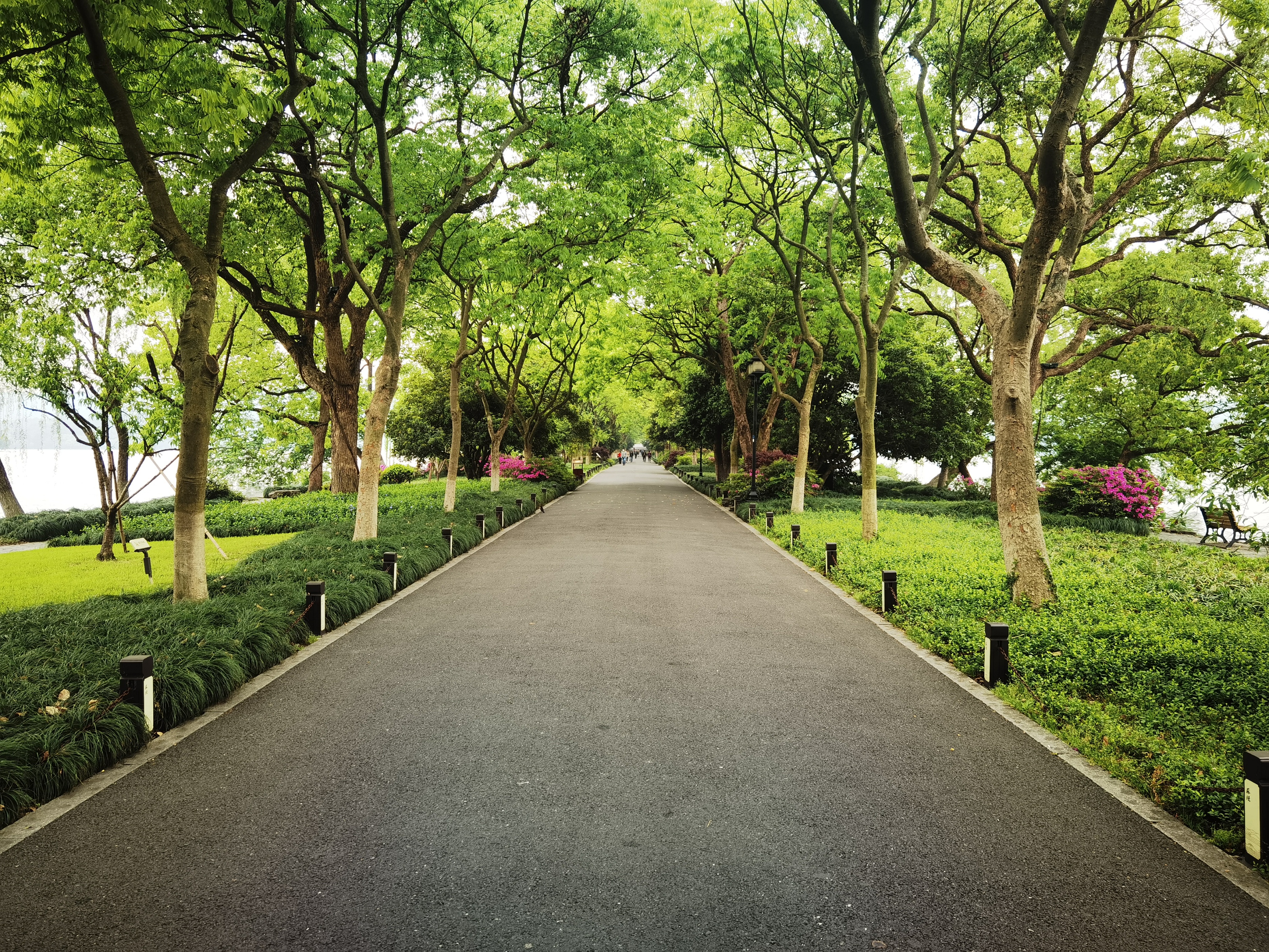 西湖十景苏堤春晓在哪里,西湖十景苏堤春晓的讲解