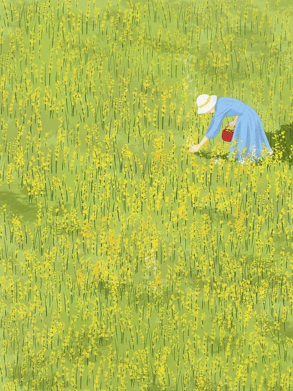 温柔的人呐,去种一个春天吧