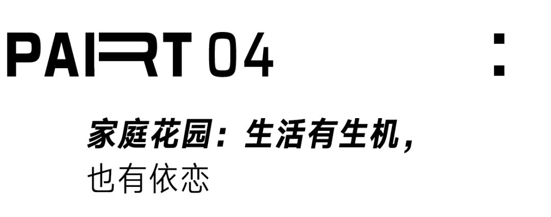 90后妈妈花3年时间,在北京打造室内“小森林”,满屋绿意