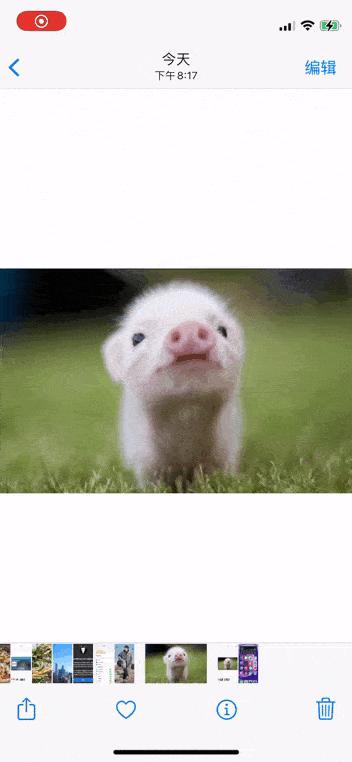 iphone相册的使用技巧,iphone相册隐藏怎么调出来