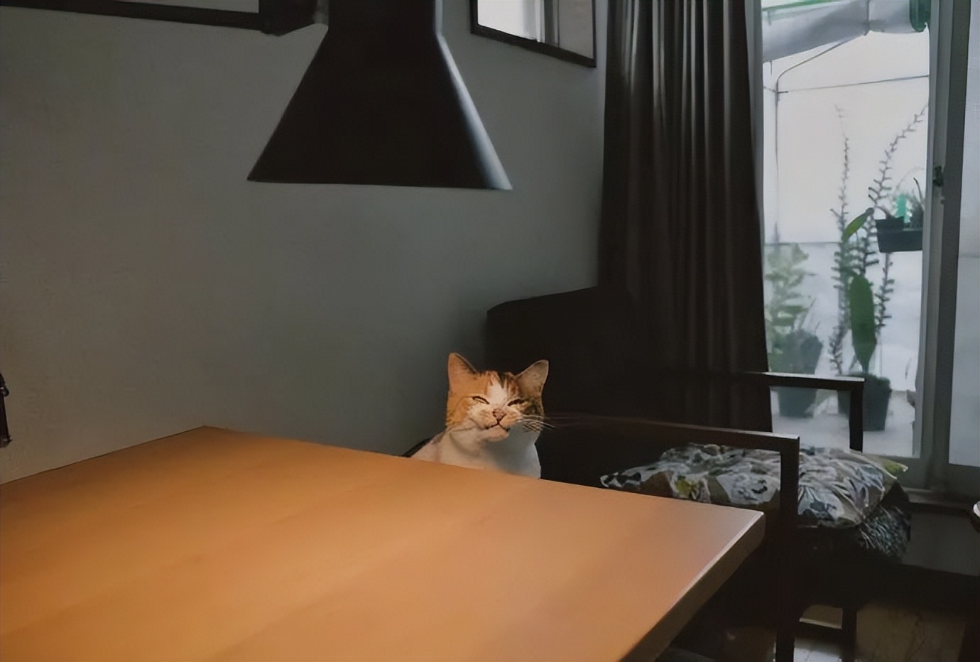 威尔·史密斯人生几大代表作|冷段子2111