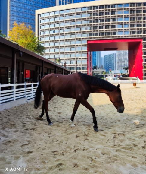 小米手机全面对标苹果,小米最新和苹果类似的手机