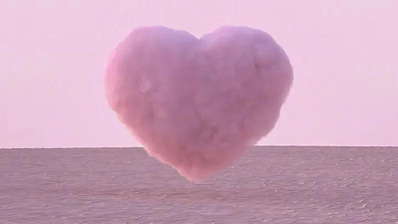 小豆蔻定北王叫什么,小豆蔻兰妃和定北王什么关系