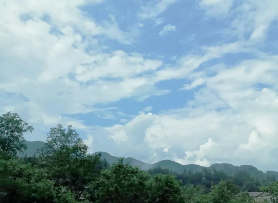 南川区金佛山旅游攻略,南川金佛山一日自驾游攻略