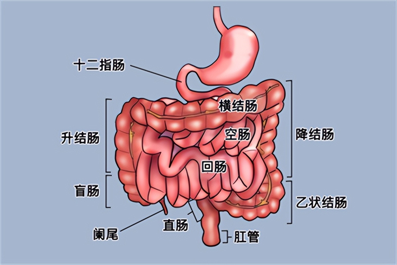总感觉大便拉不干净，这是怎么回事？医生提醒：留意这3种病