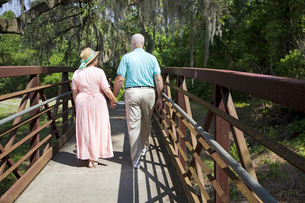 老人出门旅游带什么食物比较好,老人出游带点啥