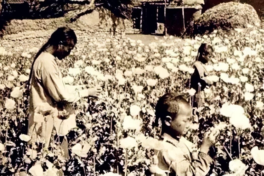 虎门销烟大清的烟,从虎门销烟到新中国成立超燃