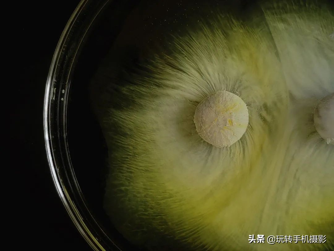 手机单反镜头有用吗,手机镜头跟单反有何区别