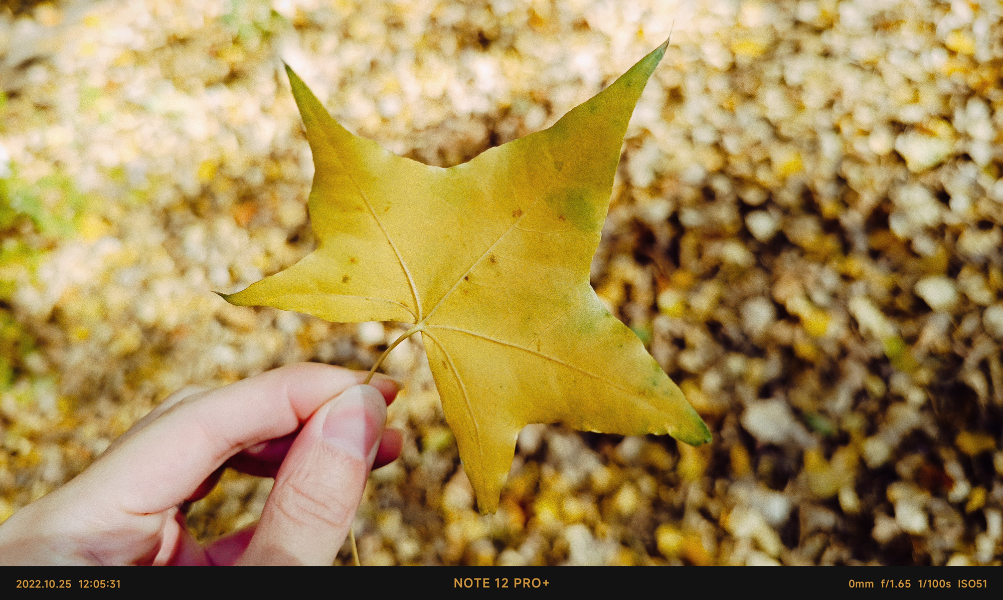 红米redminote12Tpro值得买吗,红米RedmiNote12Pro评测