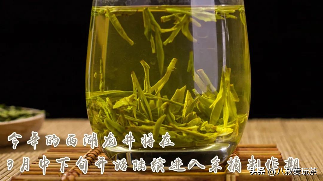 如何辨别正宗的西湖龙井,原来这才是正宗西湖龙井