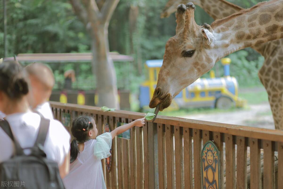 苏州东山十大网红景点,苏州十大诡异景点