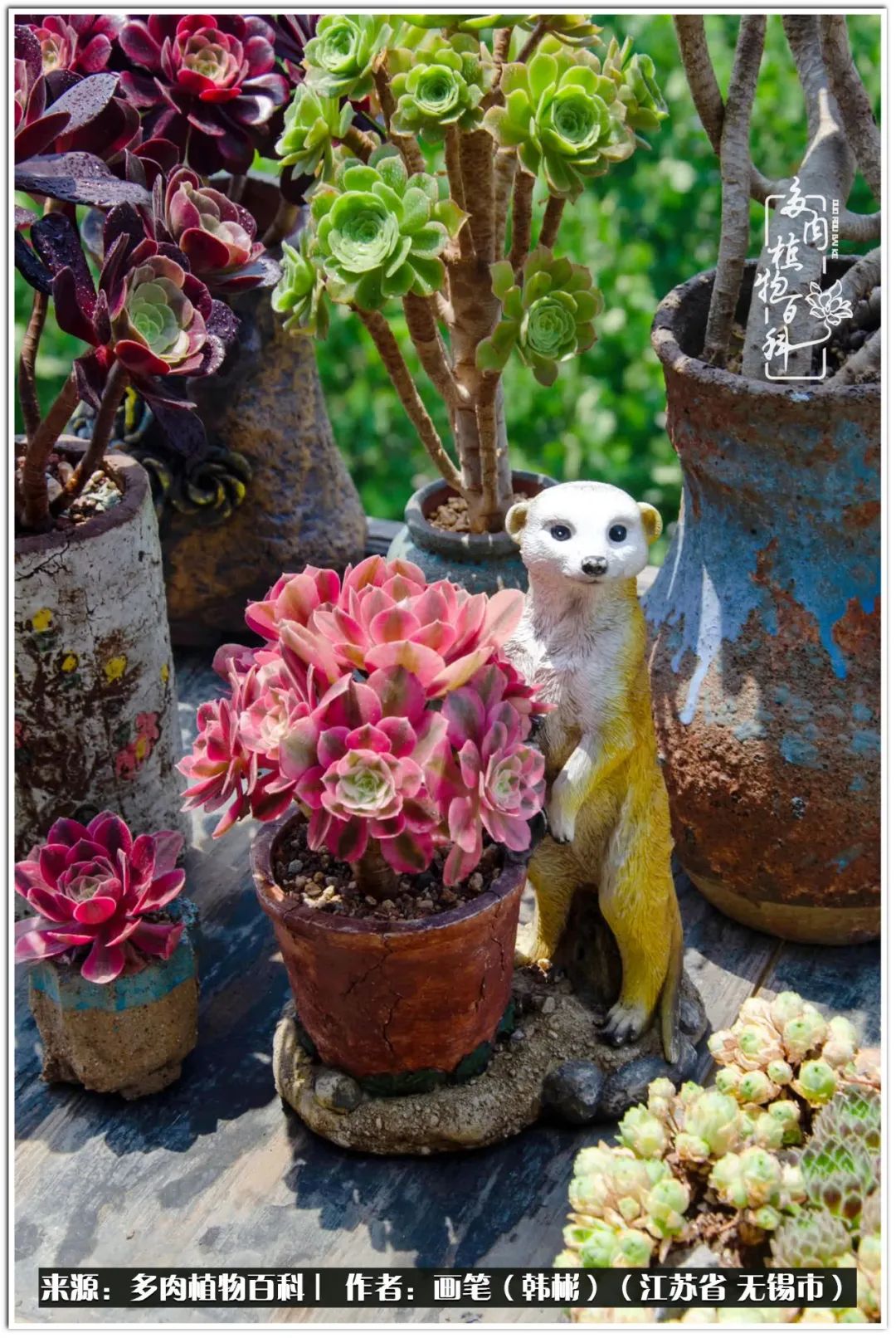 每个人的身旁都要有太阳,每个人都有一颗太阳