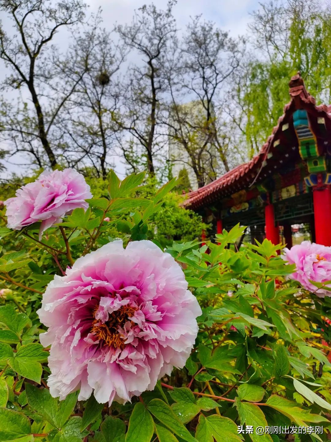 大连60岁以上老人免费景点,大连过年免费景点大全