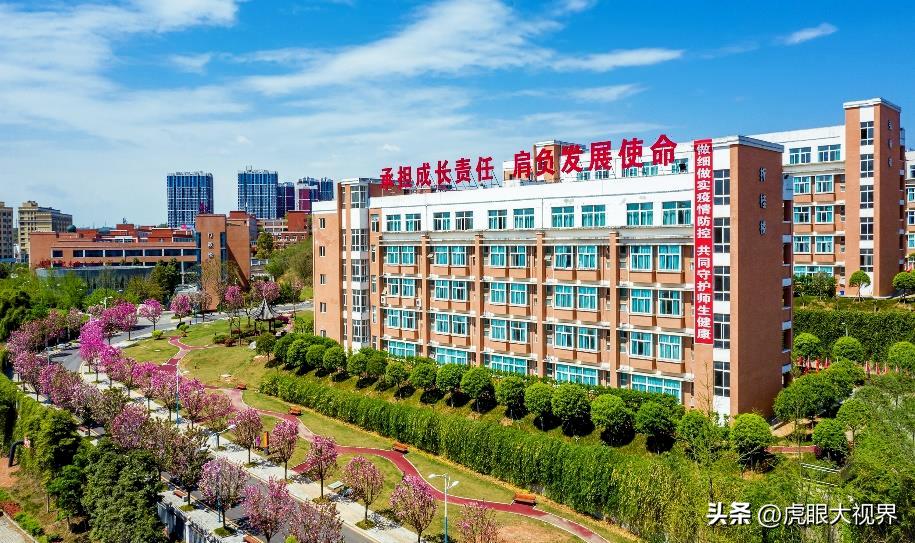 二类收分干出高考特奖第一！清北空飞排队数！绵阳独一份！