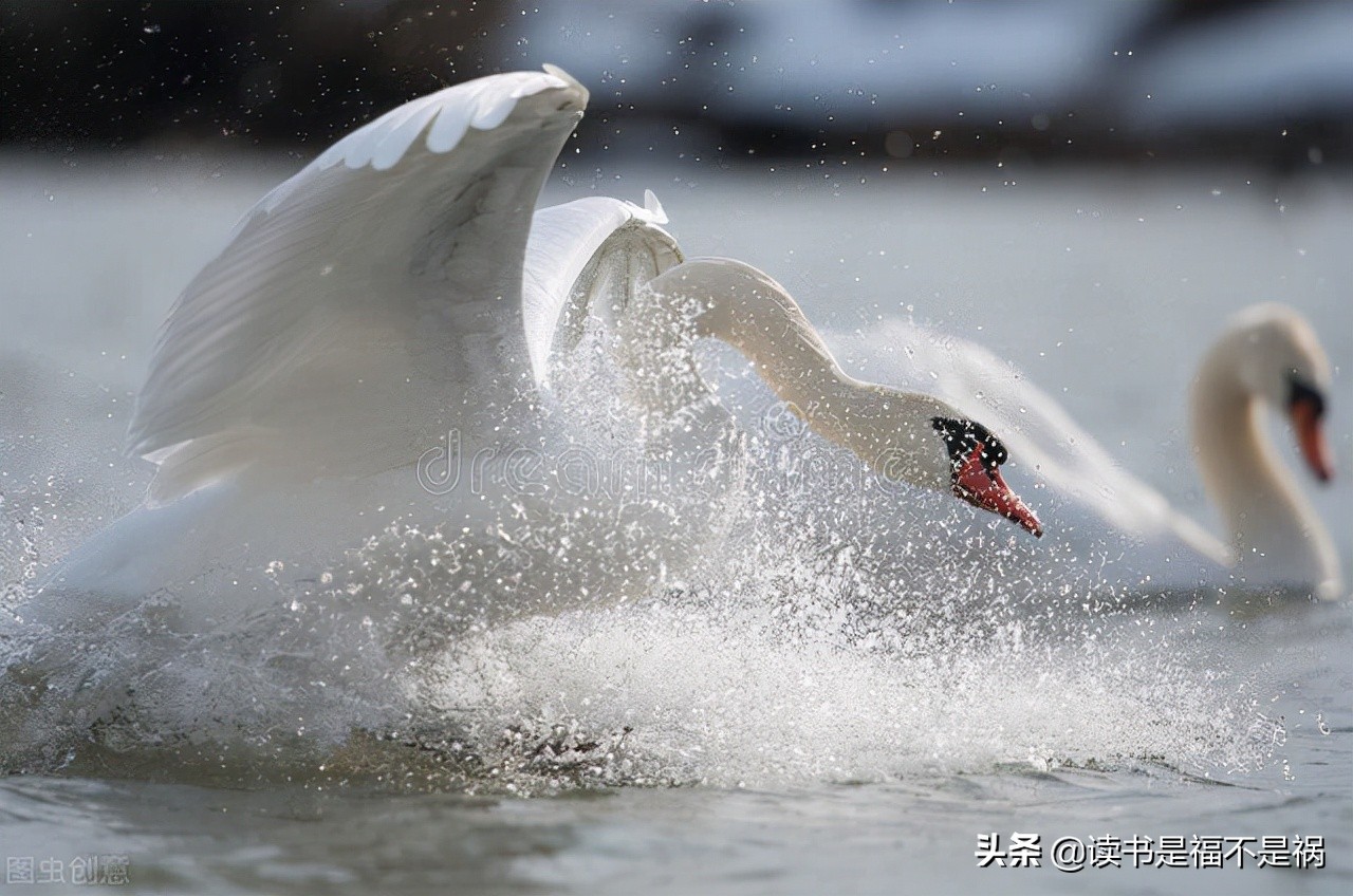 国学经典导读之礼记,国学经典之三国志导读第六十讲