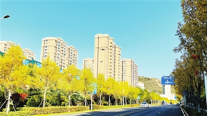 红色、粉色、绿色“绣”出花海崂山诗意满满