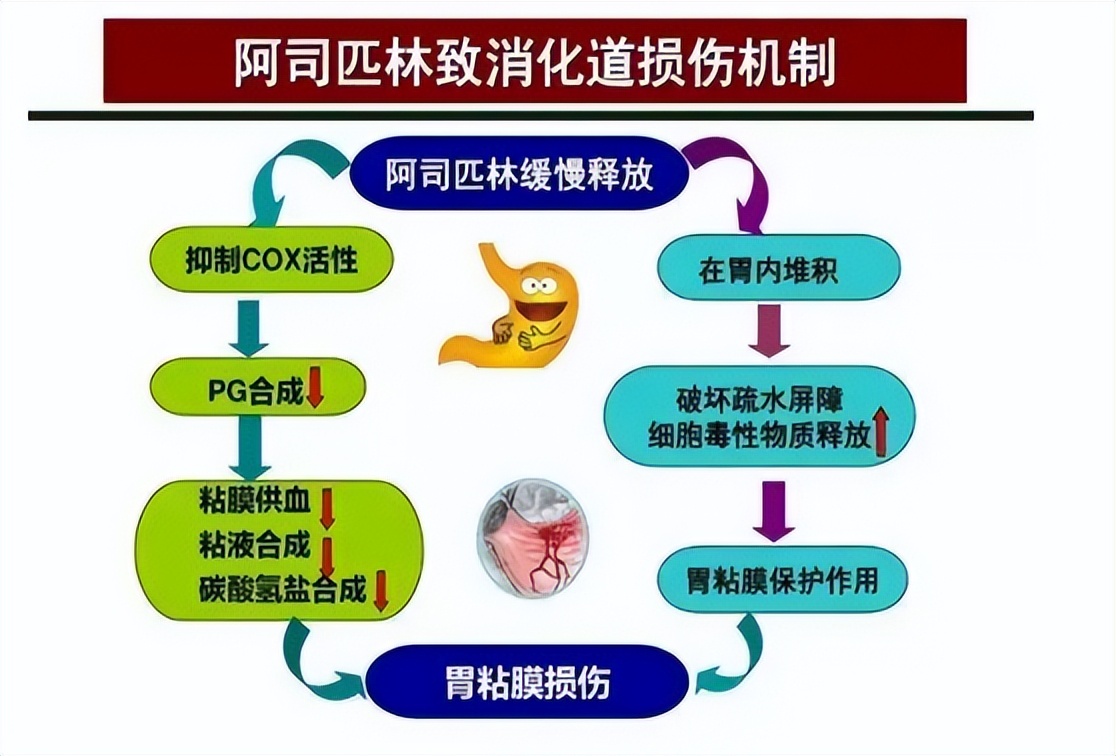 阿司匹林能服多久有什么副作用,拜阿司匹林停药副作用