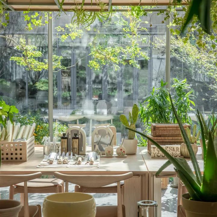 阳光高档养老社区,上海高端养老社区带庭院