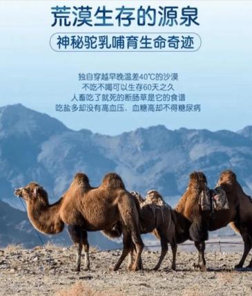 纯骆驼奶粉与高脂骆驼奶粉的区别,牦牛奶粉与骆驼奶粉哪种最好