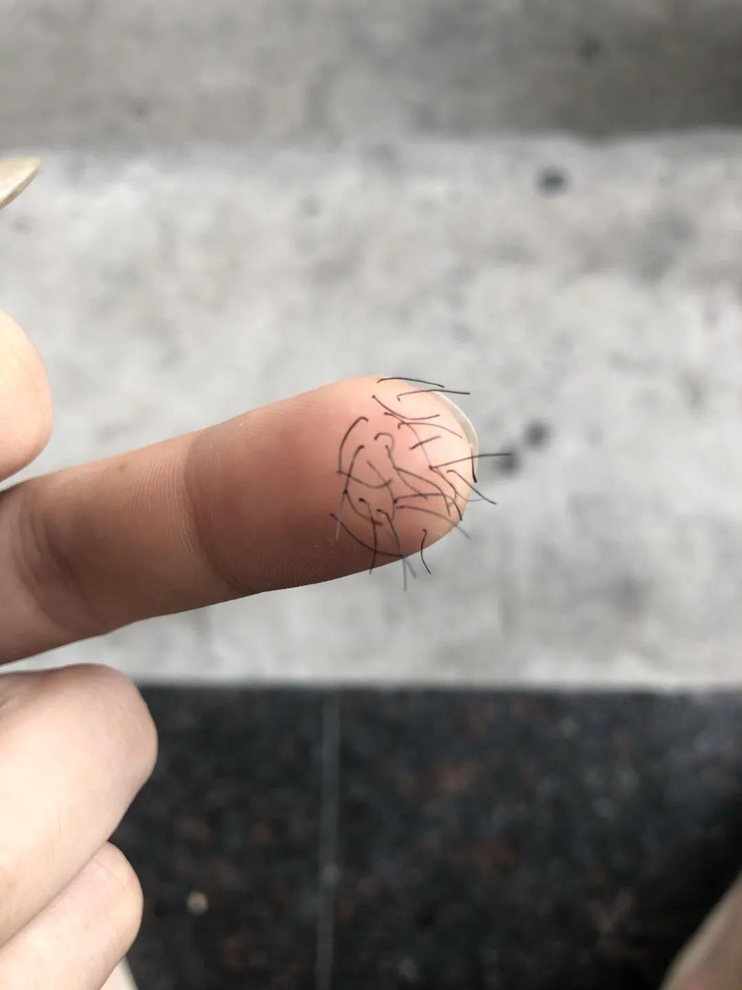 爬山回来手指头长毛什么梗,爬山回来手指头长了几根毛什么梗