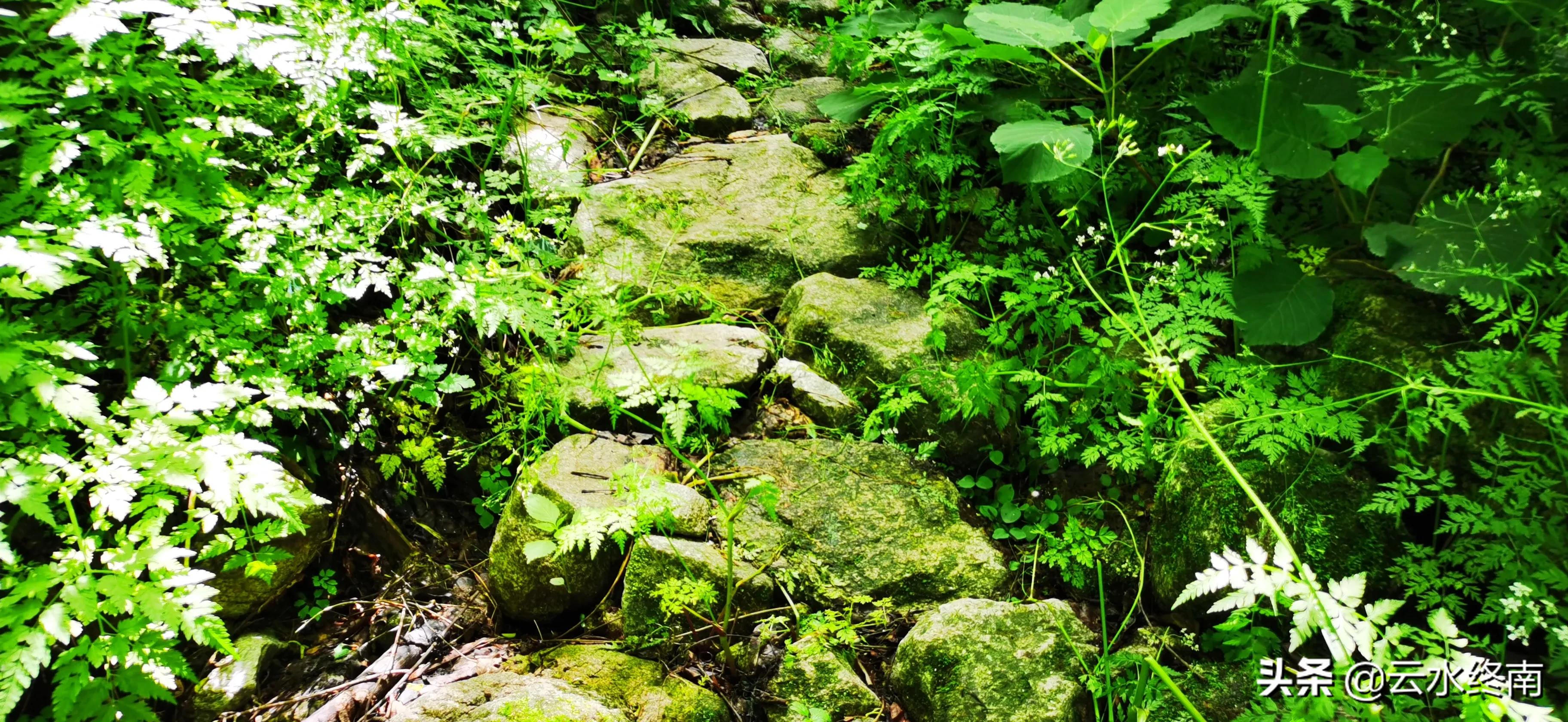 看值不值？登顶沣峪里这个曾经收费的景区，看九鼎万华详细攻略