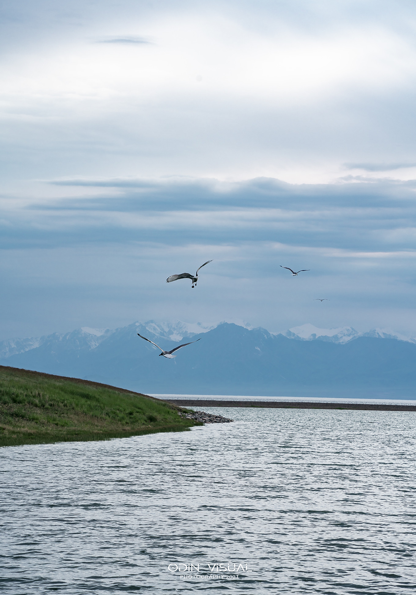 新疆伊犁之美,走了一圈才发现世界万物远不及你