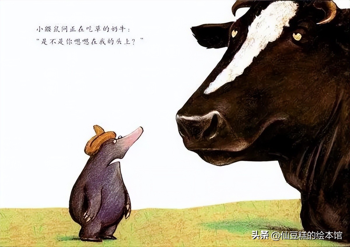 绘本阅读引导小朋友学会面对生气,适合2-3岁小孩阅读的绘本