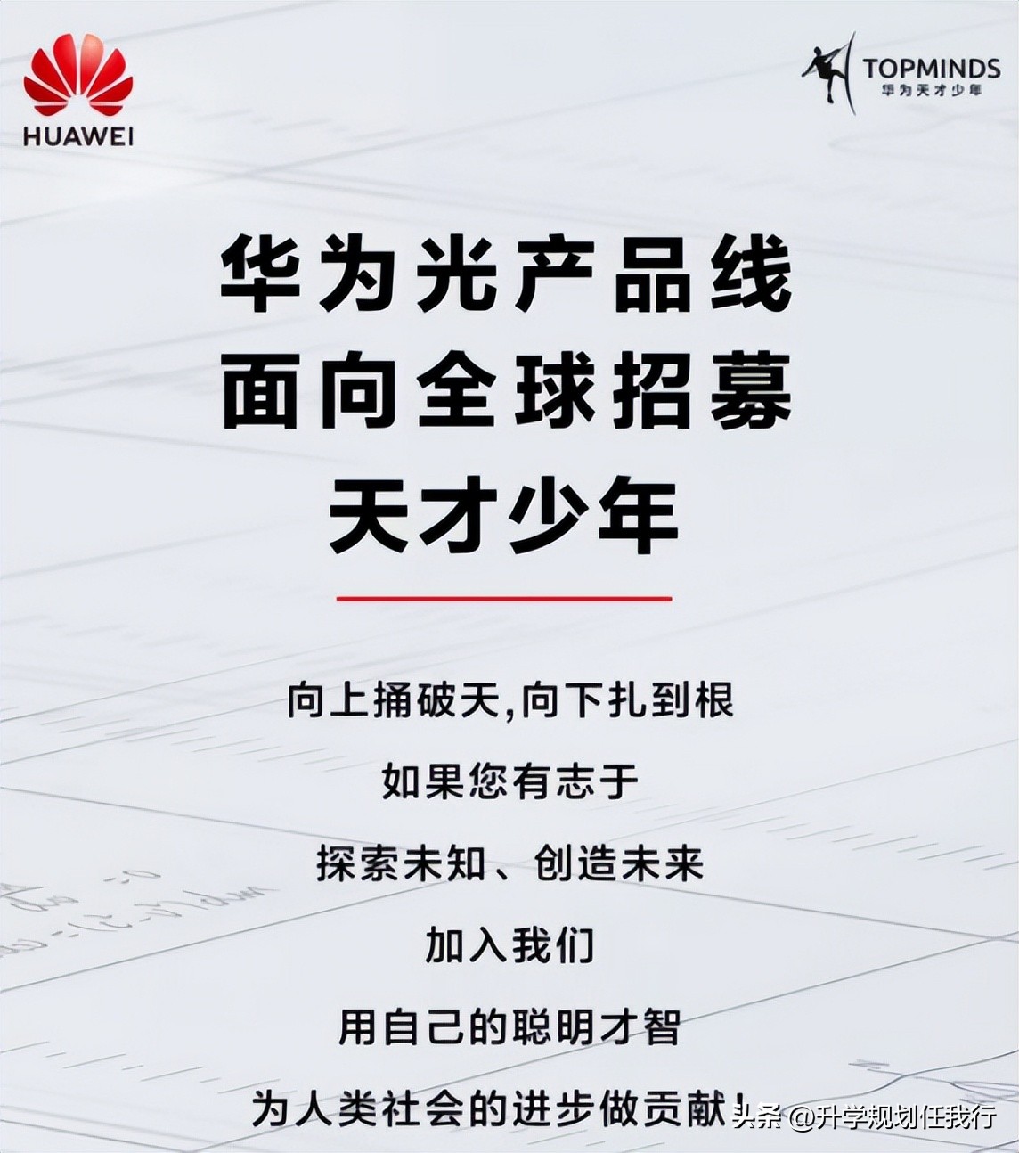 华为面向全球招天才少年学历要求,华为2019年招录了4位天才少年