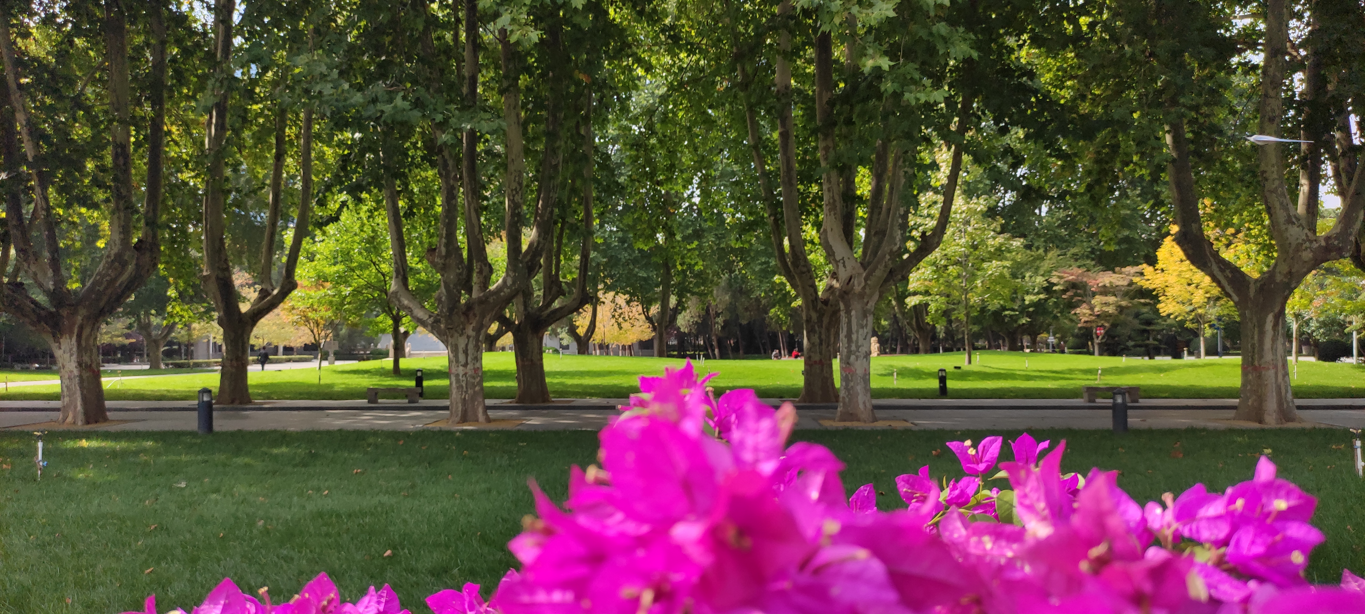 石家庄的长安街在哪里,石家庄长安中山路