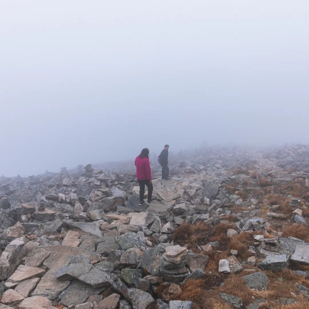 登太白山感受,太白山景区登顶拔仙台