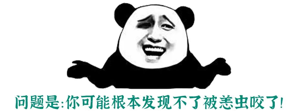 恙虫到底有多可怕？致死率极高