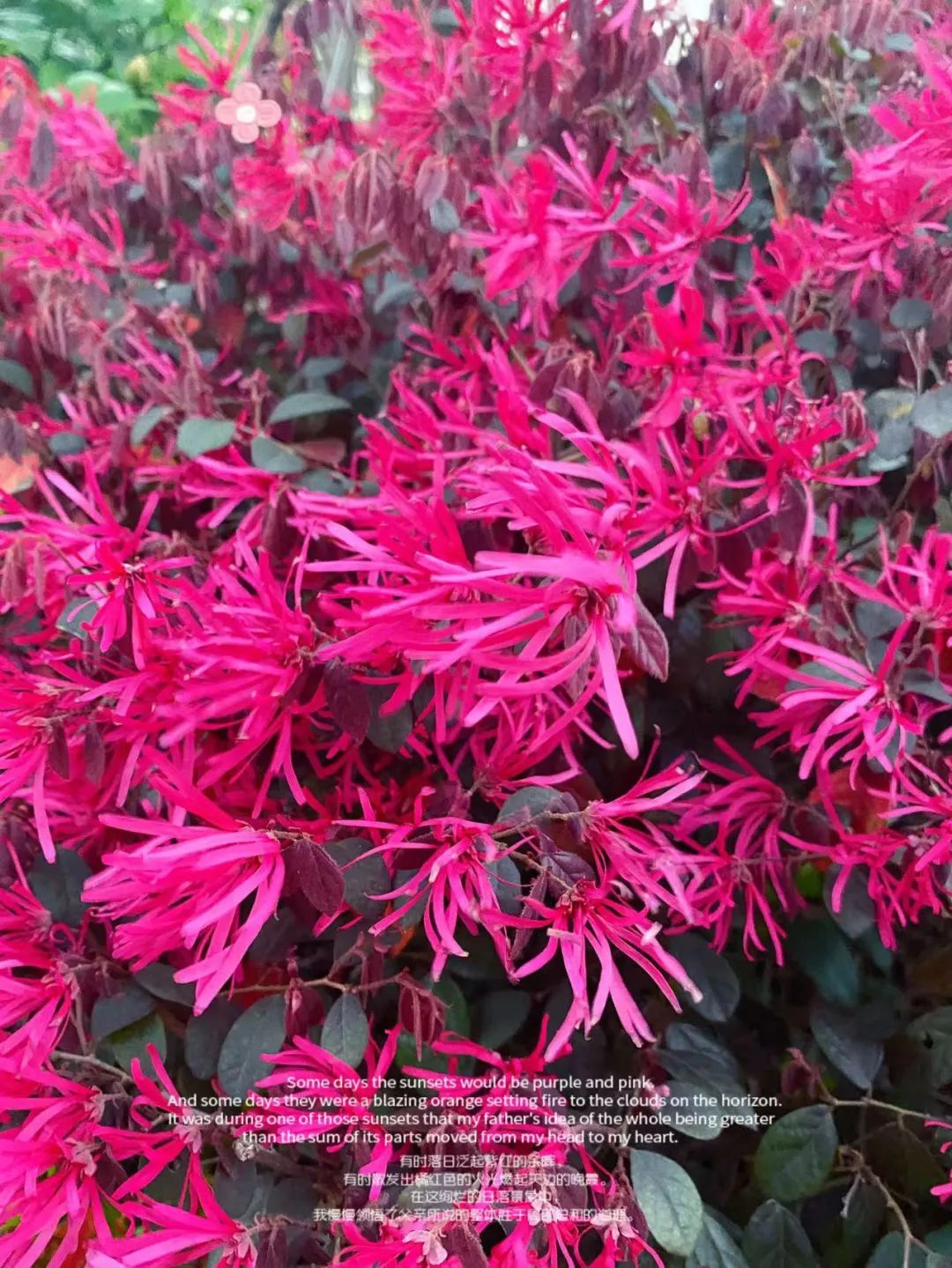 做好这几点才能真正赚钱,想赚大钱一定要牢记这三句话