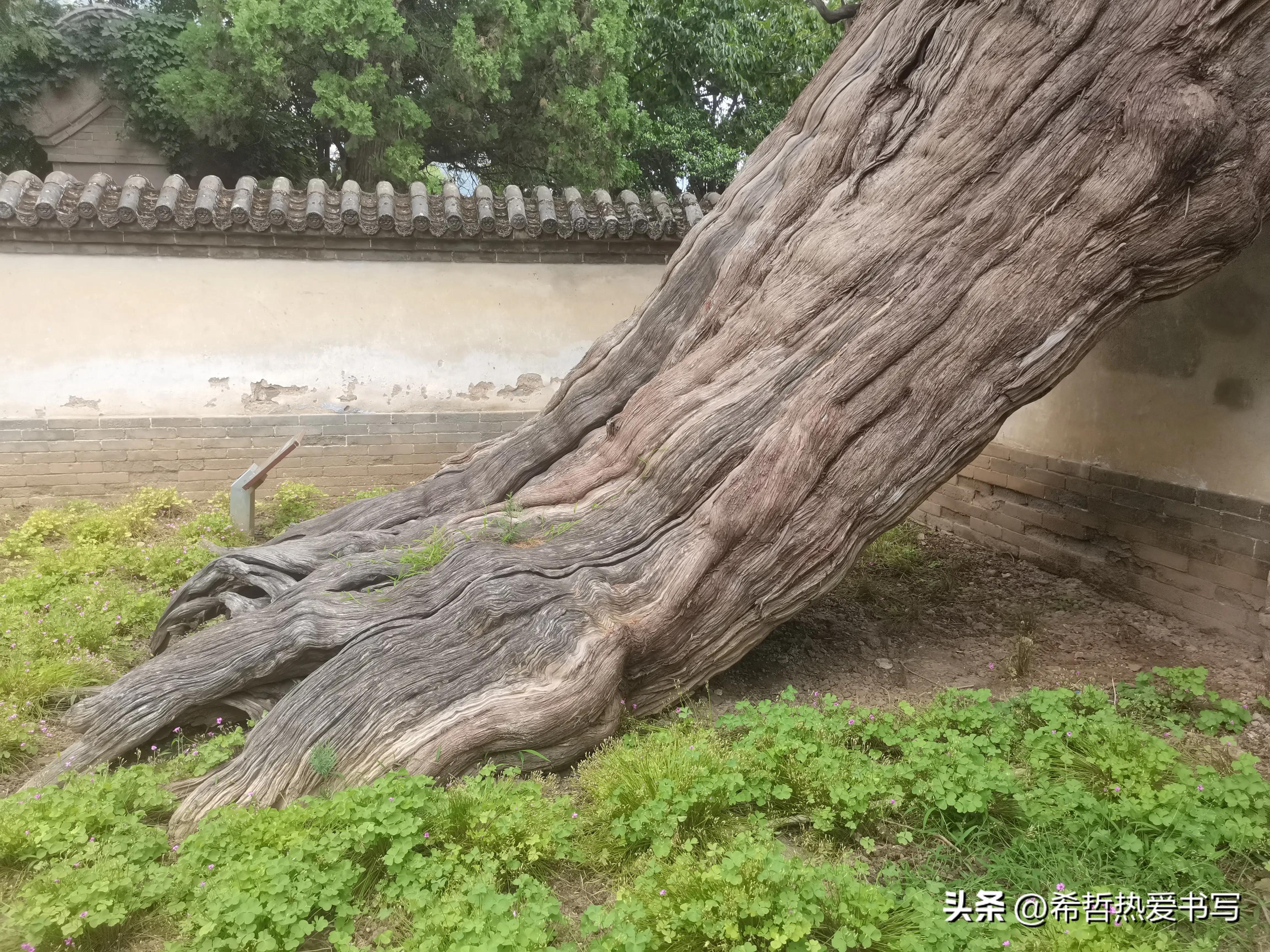 中国四大书院之一嵩阳书院,嵩阳书院应天书院和白鹿洞书院
