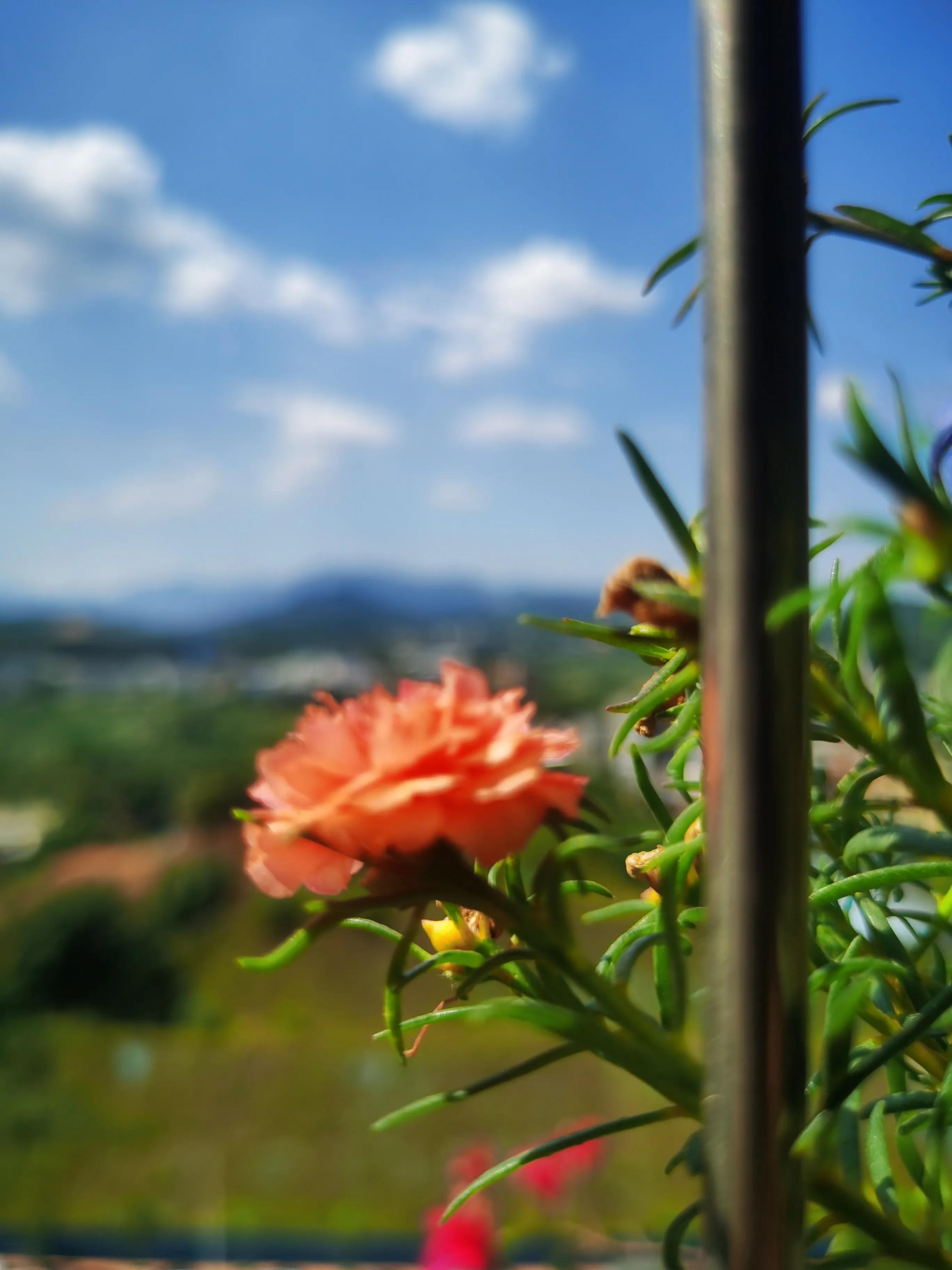 婚外情在情感上最怕的是什么,婚外情背叛婚姻的人