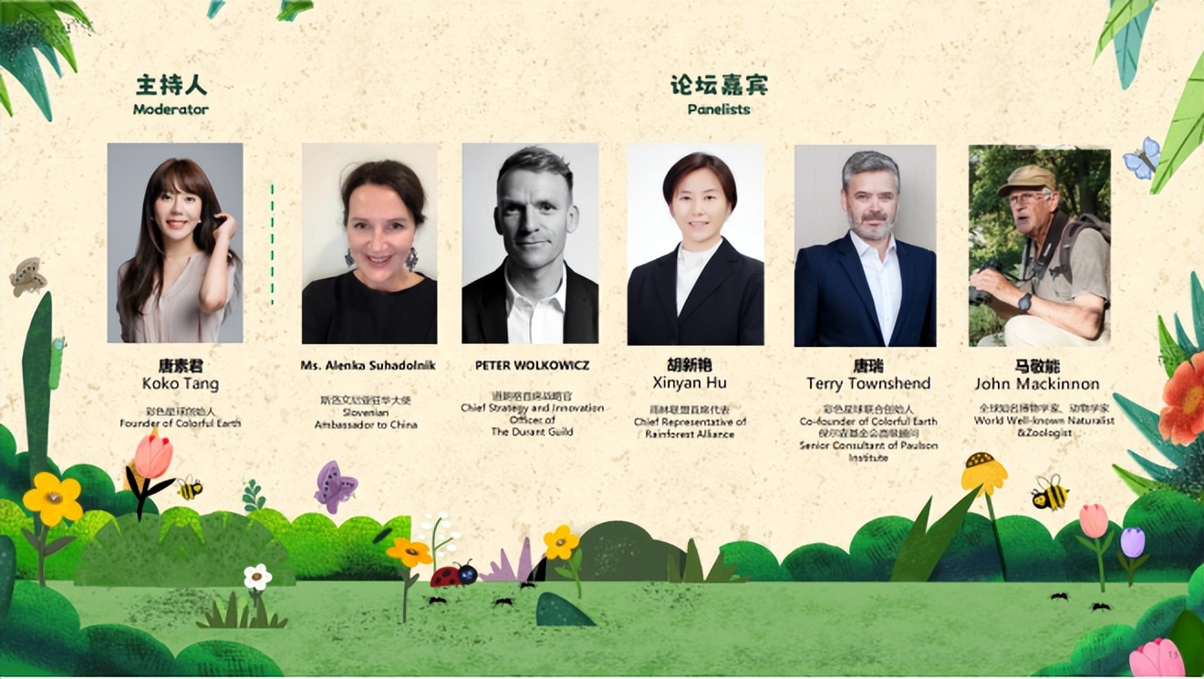 湾区羙好生活周报｜魅力圣诞，闪光记忆