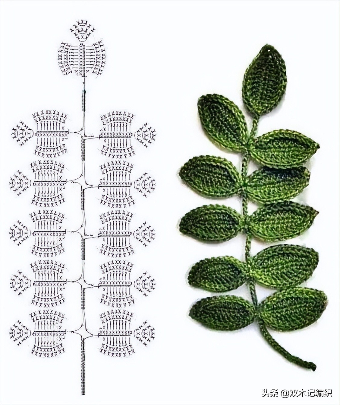 爱尔兰花和叶子大全，最令人心动的钩编之法