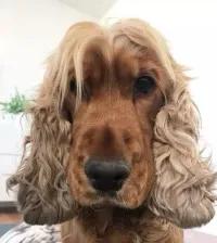 疫情之后的残酷现实,疫情可乐为什么是硬通货