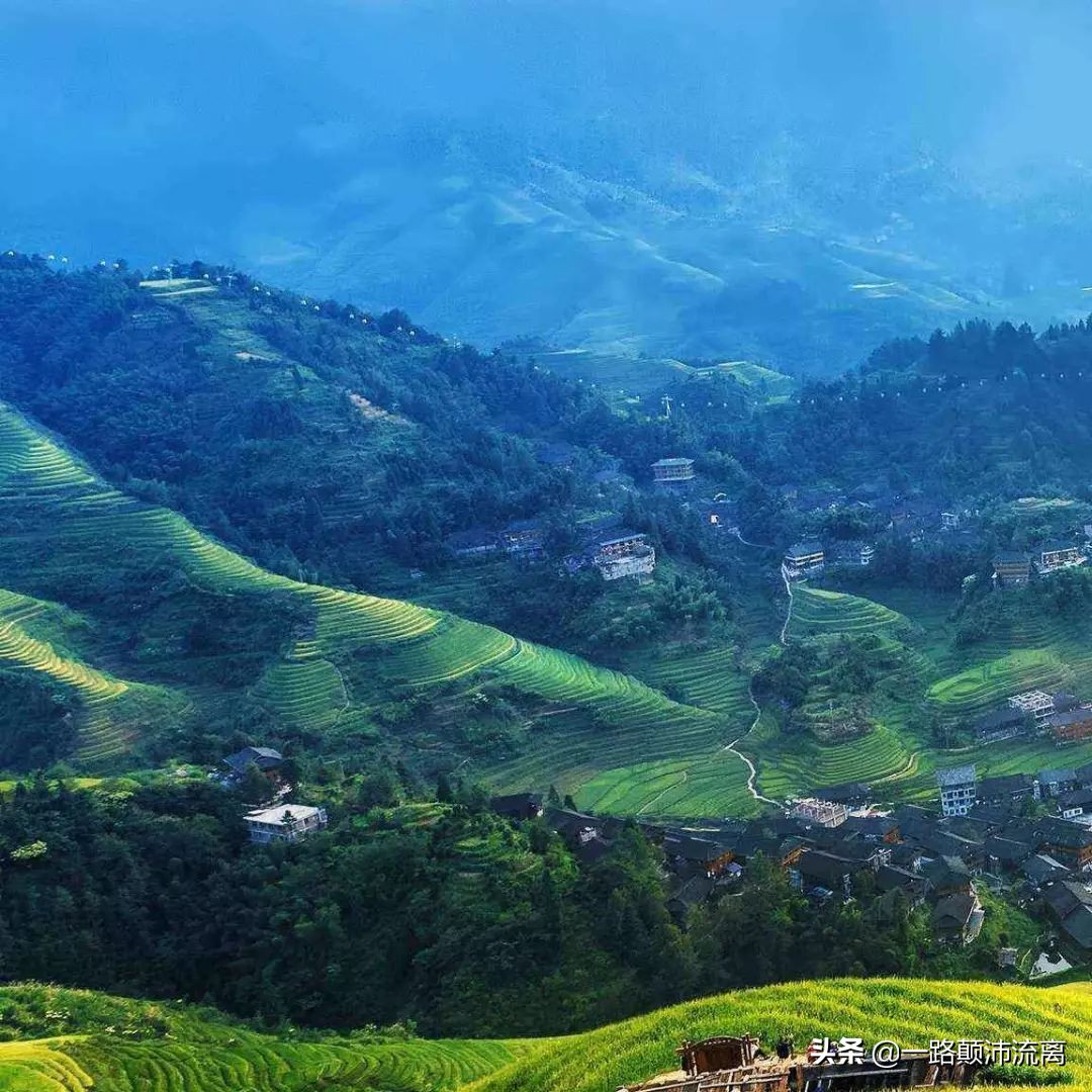 最火的橘子是什么橘子,柑橘排名第一的橘子