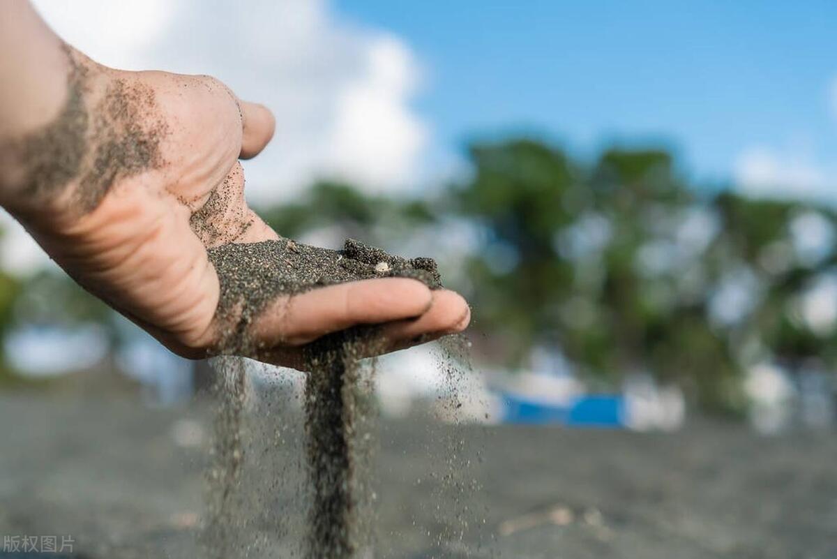每日读书笔记经典语录,一日一书读书笔记大全