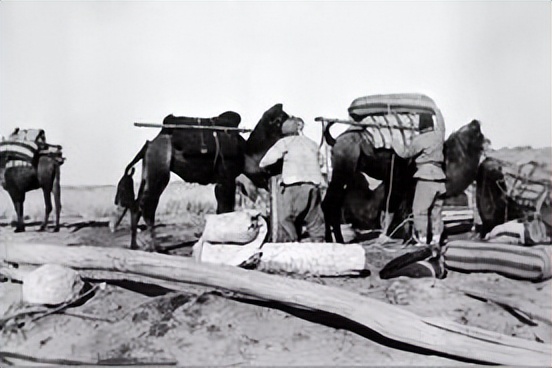 旅蒙商号大盛魁(十一)—大盛魁的营业状况(丁)皮毛药材(上)