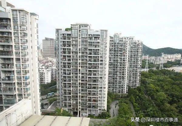 连载中：南山网红盘——鼎太风华（下）