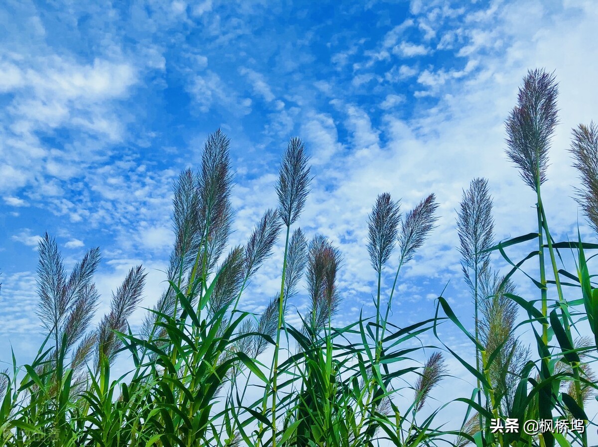预感不好的事情真的会发生,预感有不好的事情发生