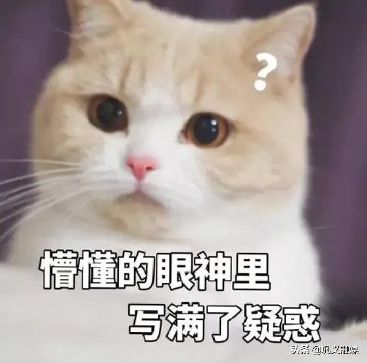 插头两脚和三脚混装,插头两头和三头的区别