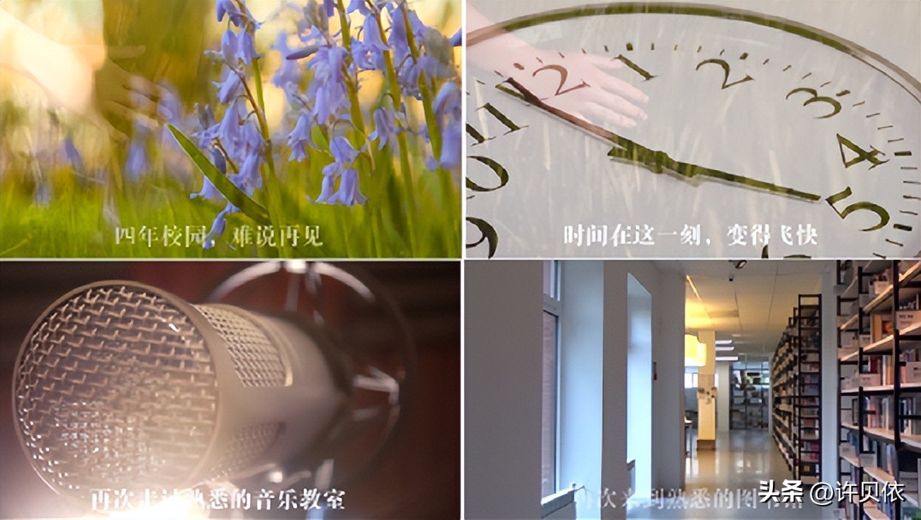 adobeacrobatpro是什么软件,adobeaudition是什么软件